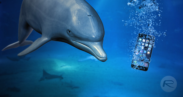 
    Image of a dolphin looking disgruntled at an iPhone in the water.